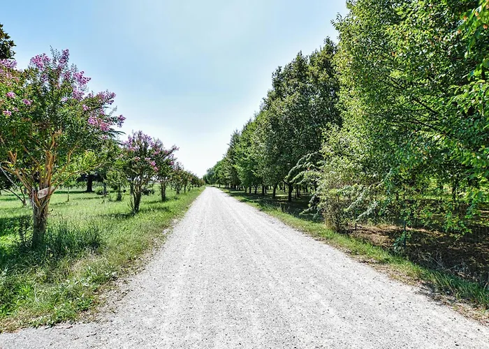 Cozy In With Wifi Σπίτι διακοπών